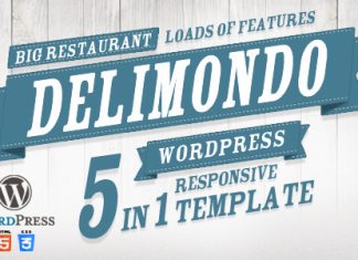 Theme Wordpress reactif Delimondo 5 styles