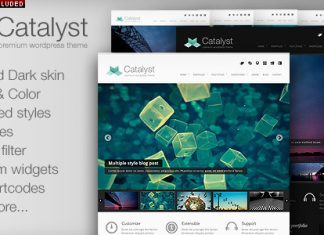 Theme de portfolio Catalyst pour Wordpress