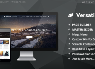 Theme polyvalent theme WordPress reactif et polyvalent