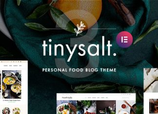 TinySalt Theme WordPress pour blog culinaire personnel