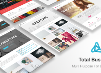 Total Business WordPress polyvalent multi usages