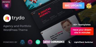 Trydo Theme dagence et de portfolio
