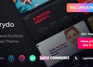 Trydo Theme dagence et de portfolio