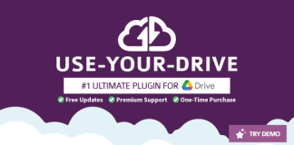 Utilisez votre Drive Plugin Google Drive pour WordPress