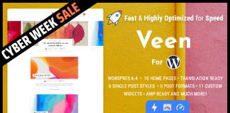 Veen Blog AMP minimaliste et leger pour WordPress