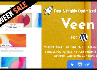 Veen Blog AMP minimaliste et leger pour WordPress