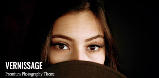 Vernissage Theme WordPress de Photographie