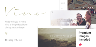 Vino Un theme raffine pour une cave a vin