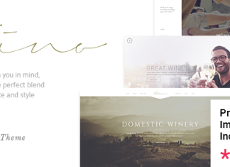 Vino Un theme raffine pour une cave a vin