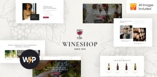 WineShop Theme WordPress pour magasin de livraison en ligne