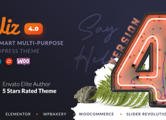Wiz Theme WordPress Polyvalent Elementor