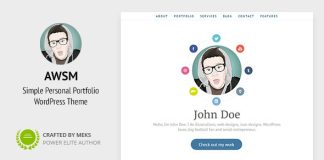 AWSM Theme WordPress de CV CV dune page.jpg