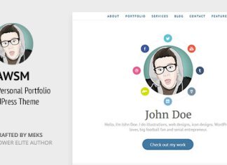 AWSM Theme WordPress de CV CV dune page.jpg