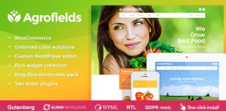Agrofields Theme Wordpress pour magasin alimentaire et marche depicerie.jpg