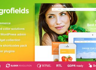 Agrofields Theme Wordpress pour magasin alimentaire et marche depicerie.jpg