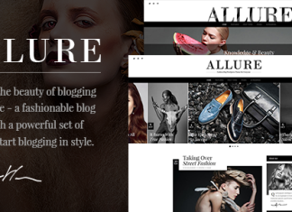 Allure Theme de blog Beaute Mode.png