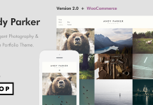 Andy Parker Theme WordPress de photographie creative et de.png