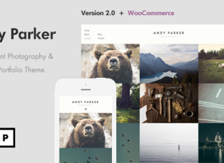 Andy Parker Theme WordPress de photographie creative et de.png