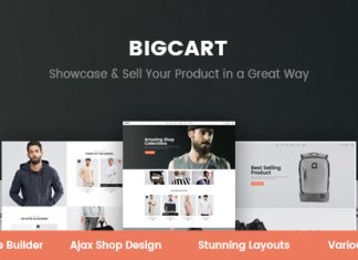Bigcart Theme WordPress propre et moderne pour WooCommerce.jpg