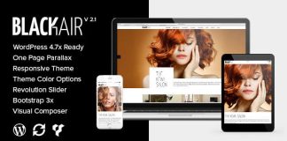 Blackair Theme WordPress dune seule page pour salon de.jpg