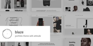 Blaze Theme de portfolio.png