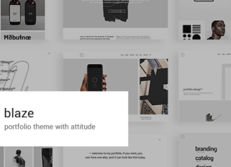 Blaze Theme de portfolio.png