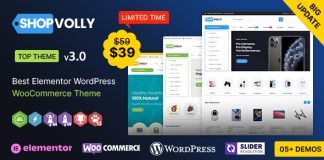 BoutiqueVolly WP Theme polyvalent Elementor WooCommerce.jpg
