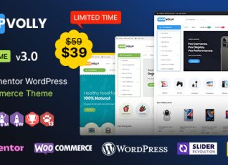 BoutiqueVolly WP Theme polyvalent Elementor WooCommerce.jpg