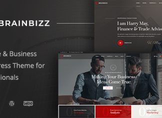 BrainBizz Theme WordPress Finance Business.jpg