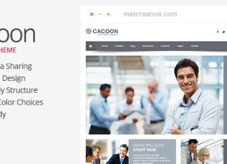 Cacoon Theme dentreprise reactif.jpg