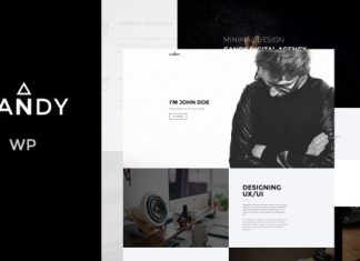 Candy Page Unique et Multiples pour WP.jpg