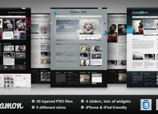 Cardamome – Modèle HTML polyvalent Cardamome Modele HTML polyvalent.png