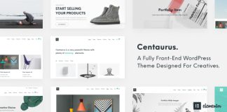 Centaurus Theme WordPress polyvalent et creatif a plusieurs fins.jpg
