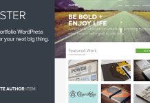 Cluster Un theme Wordpress audacieux pour portfolio.jpg