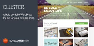 Cluster Un theme Wordpress audacieux pour portfolio.jpg