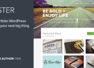 Cluster Un theme Wordpress audacieux pour portfolio.jpg