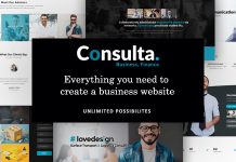 Consultation Theme professionnel WordPress pour les entreprises et les.jpg