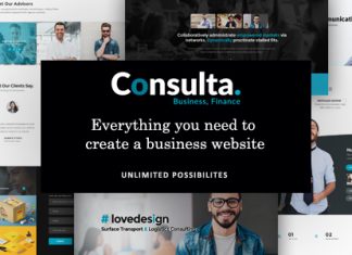 Consultation Theme professionnel WordPress pour les entreprises et les.jpg