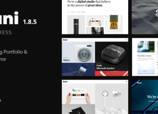 Dani Un theme WordPress Portfolio Shop dynamique.png