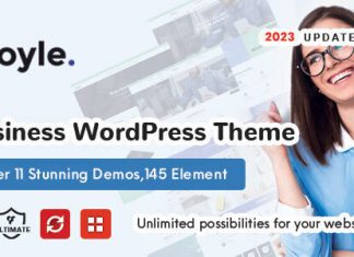 Doyle Theme WordPress polyvalent et creatif.jpg