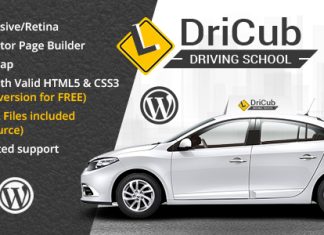 DriCub Theme WordPress pour auto ecole.jpg