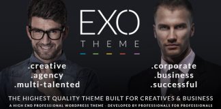 EXO Theme specifique creatif et dentreprise.jpg