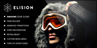 Elision Theme WordPress polyvalent pour la retine.png