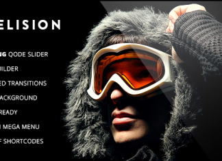 Elision Theme WordPress polyvalent pour la retine.png