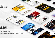 Equipe Theme WordPress Club de Soccer Football Hockey Basketball.jpg