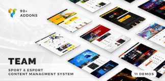 Equipe Theme WordPress Club de Soccer Football Hockey Basketball.jpg