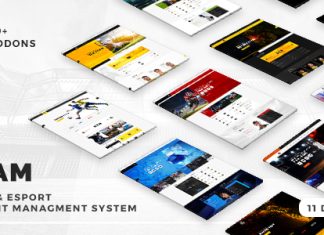 Equipe Theme WordPress Club de Soccer Football Hockey Basketball.jpg