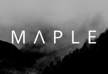 Erable Theme WordPress propre et minimaliste polyvalent.png