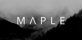 Erable Theme WordPress propre et minimaliste polyvalent.png