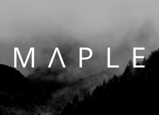 Erable Theme WordPress propre et minimaliste polyvalent.png